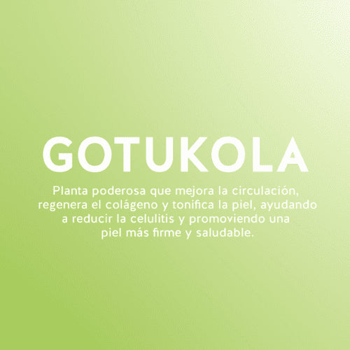 Gotukola by ultra - 60 Cap